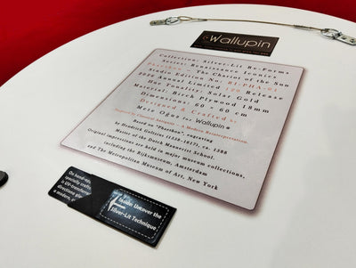 Phaethon Classical Engraving Wall Art